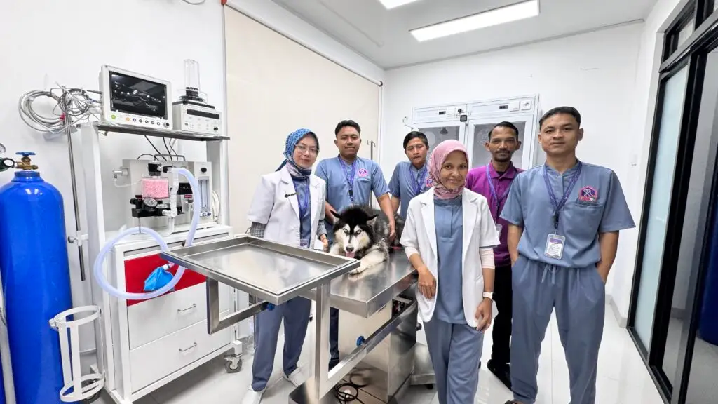 Klinik Hewan Mitra Sora | Ruang Operasi